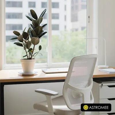 Rubber plant at your desk 